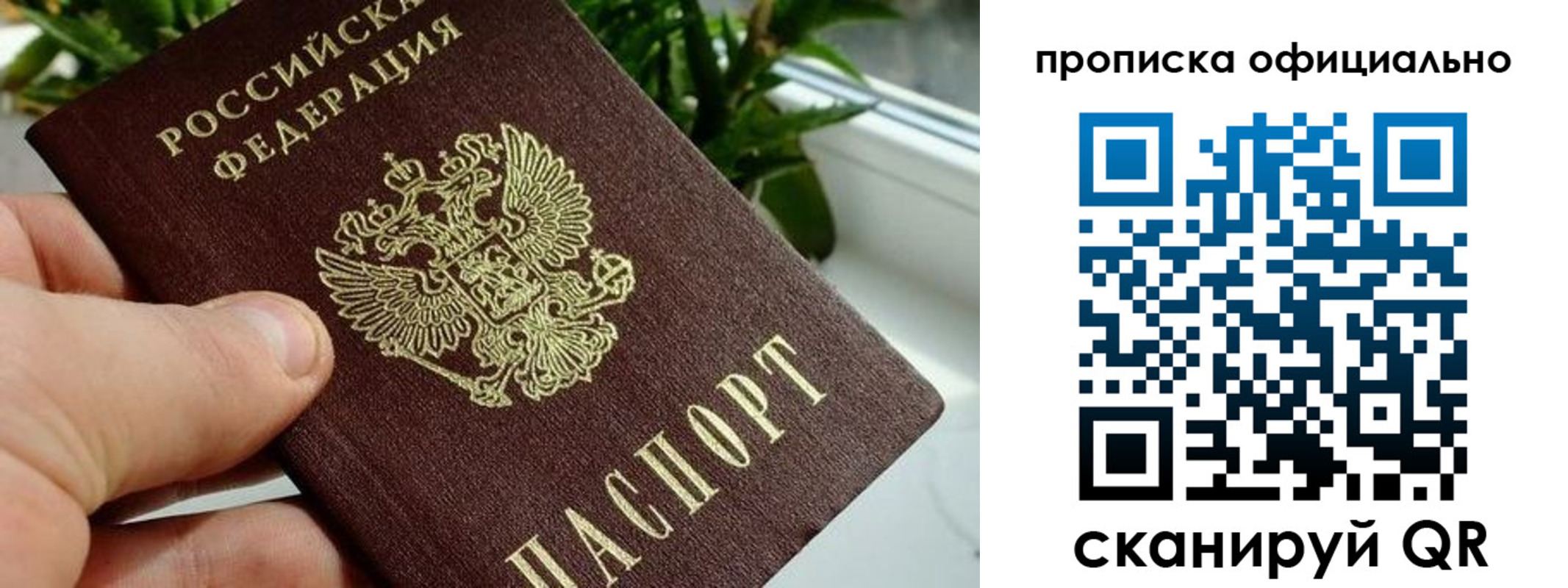 прописка поиск в Карабаново